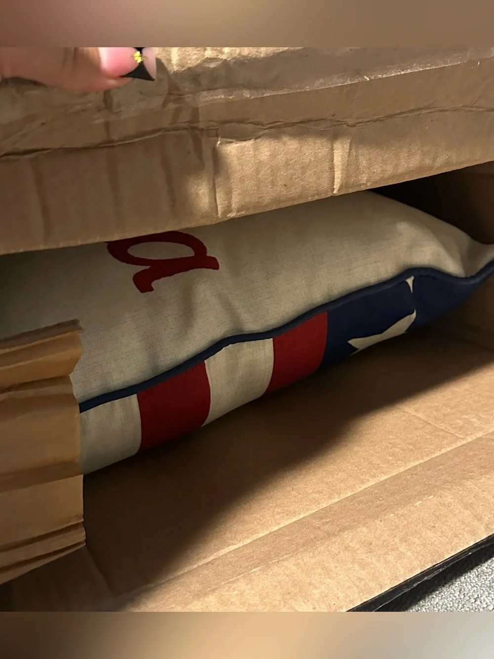 Jordan Patriotic 'God Bless America' Pillow - Cream, Red & Blue